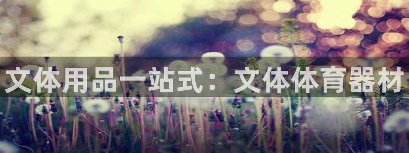 极悦娱乐公司最新招聘信息：文体用品一站式：文体体育器