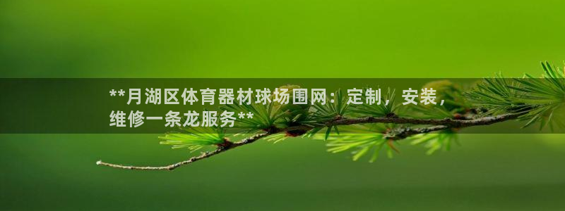 极悦平台注册资金多少钱：**月湖区体育器材球场围网：
