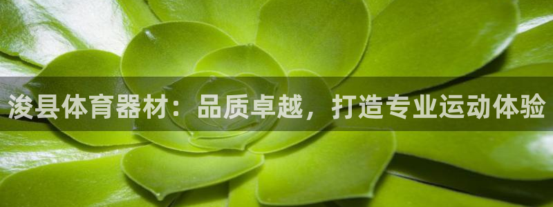 极悦平台反7O777：浚县体育器材：品质卓越，打造专