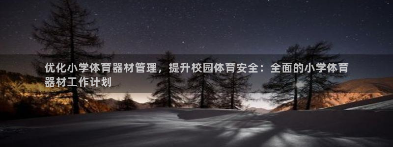 极悦平台用户评价：优化小学体育器材管理，提升校园体育