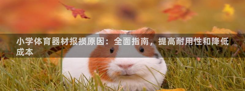极悦平台客服投诉电话是多少号：小学体育器材报损原因：