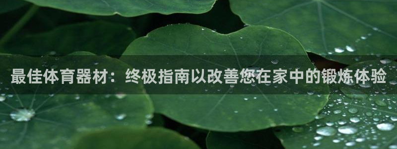 极悦平台使用教程图解：最佳体育器材：终极指南以改善您