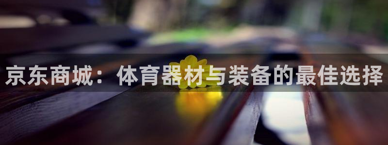 极悦官方网站入口网址是什么：京东商城：体育器材与装备