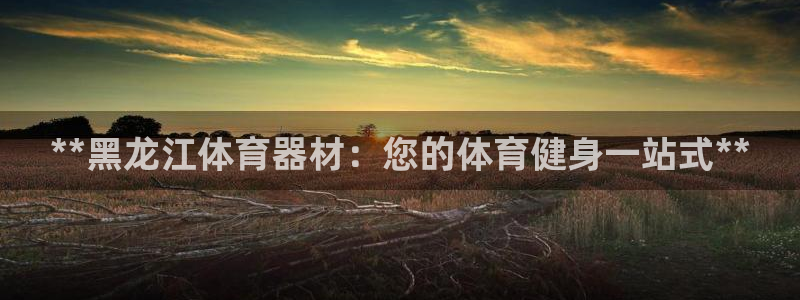 极悦娱乐股东名单：**黑龙江体育器材：您的体育健身一站式**