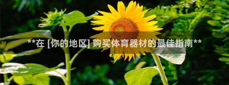 极悦平台注册官方网站下载安卓版：**在 [你的地区]