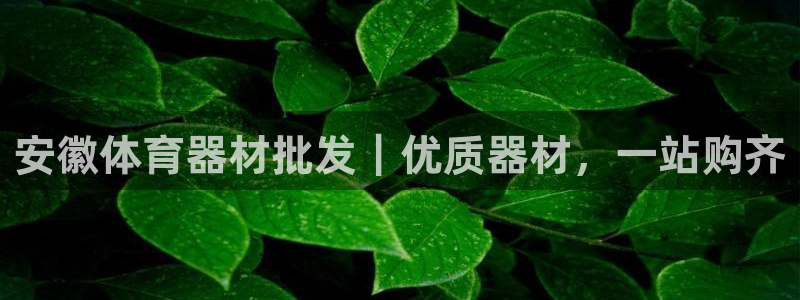 深圳极悦文化传媒有限公司：安徽体育器材批发｜优质器材