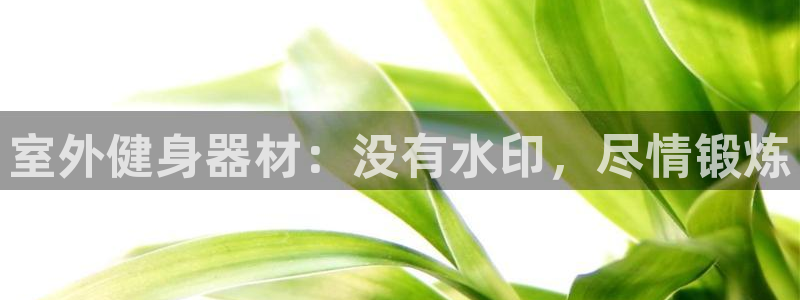 极悦平台是正规平台吗：室外健身器材：没有水印，尽情锻