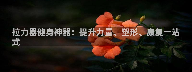 极悦平台客服的联系方式是多少：拉力器健身神器：提升力