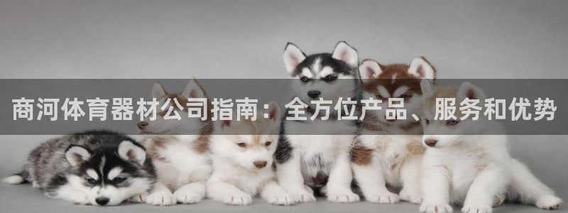 极悦平台官方网站首页：商河体育器材公司指南：全方位产