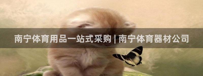 苏州极悦信息科技有限公司：南宁体育用品一站式采购 |
