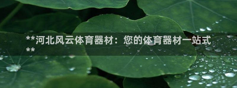 极悦平台官方网站登录入口：**河北风云体育器材：您的