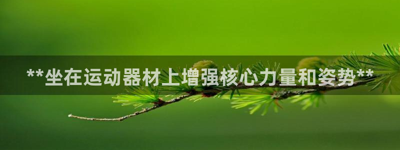 极悦娱乐的创始人背景故事：**坐在运动器材上增强核心力量和姿