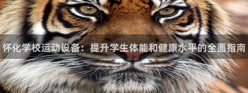 极悦平台登录7.0.2.4手机版下载安卓：怀化学校运