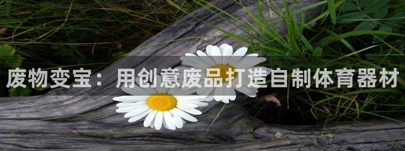 极悦平台注册资金多少：废物变宝：用创意废品打造自制体