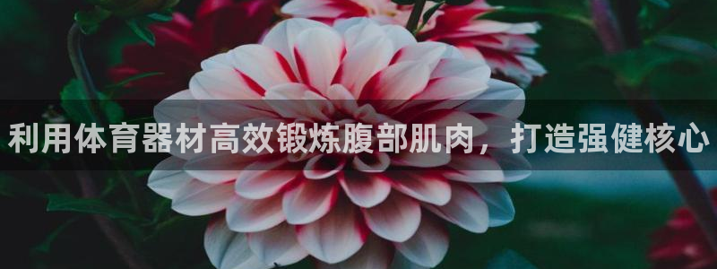 极悦平台登录7.0.2.4手机版下载安卓：利用体育器