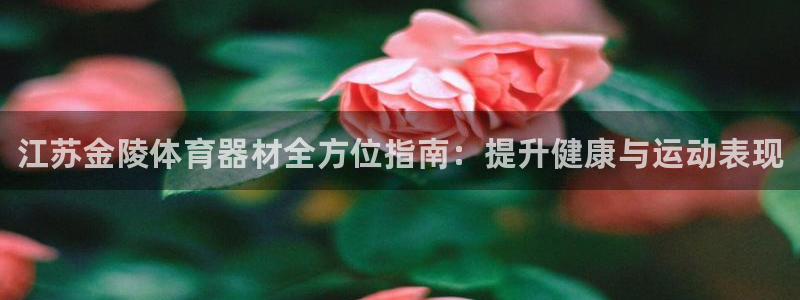 极悦官网入口登录：江苏金陵体育器材全方位指南：提升健