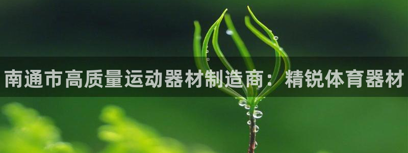极悦平台客服团队名称：南通市高质量运动器材制造商：精