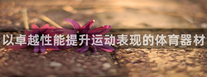 极悦平台注册登录不上：以卓越性能提升运动表现的体育器材