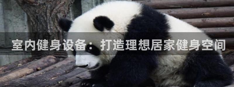 极悦平台注册官方网站下载安卓： 室内健身设备：打造理想居家健