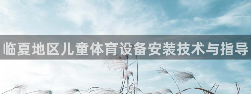 极悦娱乐公司最新招聘信息网：临夏地区儿童体育设备安装
