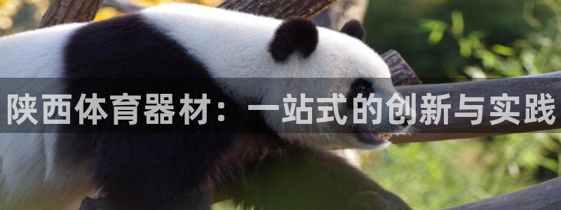 极悦平台注册登录失败：陕西体育器材：一站式的创新与实