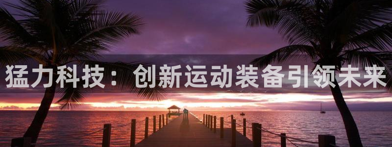 极悦平台安全吗可靠吗：猛力科技：创新运动装备引领未来