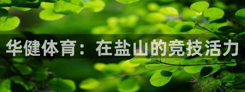 极悦平台客服团队：华健体育：在盐山的竞技活力